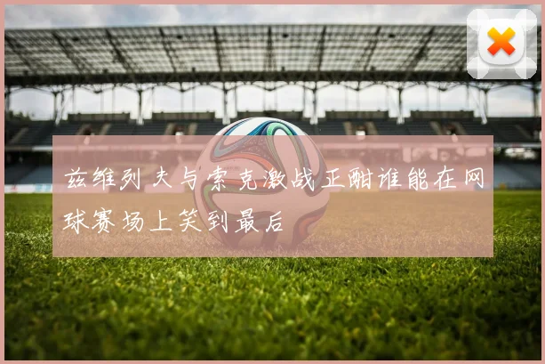 兹维列夫与索克激战正酣谁能在网球赛场上笑到最后
