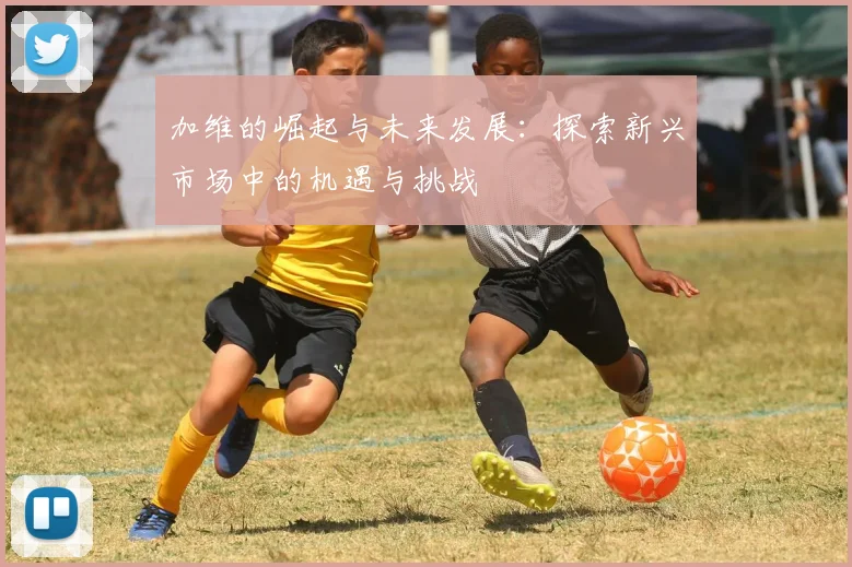 加维的崛起与未来发展：探索新兴市场中的机遇与挑战